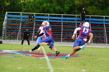 Enlarge photo 96