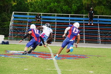 Enlarge photo 97