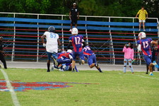 Enlarge photo 99