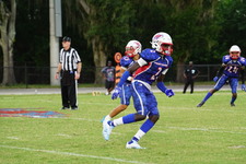 Enlarge photo 124