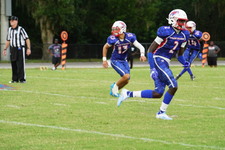 Enlarge photo 125