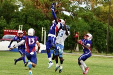 Enlarge photo 126