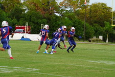 Enlarge photo 129