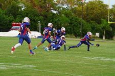 Enlarge photo 130