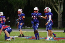 Enlarge photo 131