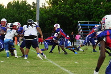 Enlarge photo 153