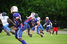 Enlarge photo 158