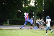 Enlarge photo 171
