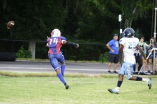 Enlarge photo 172