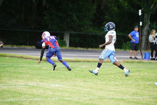 Enlarge photo 174