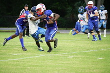 Enlarge photo 185