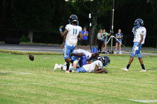 Enlarge photo 195