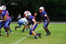 Enlarge photo 200