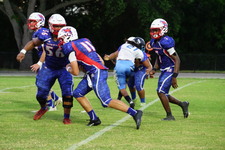 Enlarge photo 201