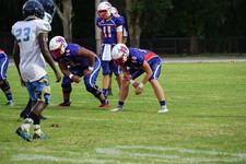 Enlarge photo 220
