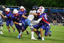 Enlarge photo 226