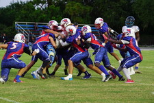 Enlarge photo 229
