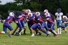 Enlarge photo 230