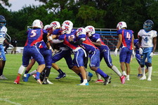 Enlarge photo 232