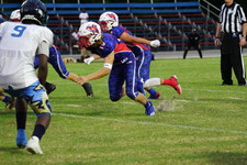Enlarge photo 238