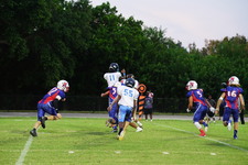 Enlarge photo 243