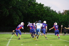 Enlarge photo 242
