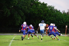 Enlarge photo 244