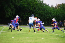 Enlarge photo 245