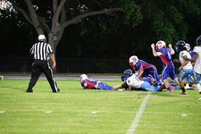 Enlarge photo 247