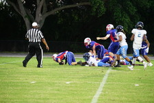 Enlarge photo 248
