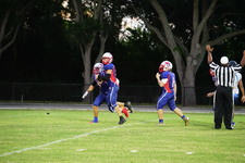 Enlarge photo 251