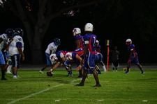 Enlarge photo 264