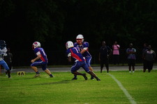 Enlarge photo 266