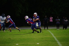 Enlarge photo 267