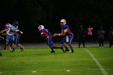 Enlarge photo 269