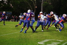 Enlarge photo 294