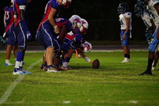 Enlarge photo 302