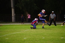 Enlarge photo 310