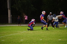 Enlarge photo 309