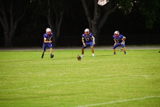 Enlarge photo 315
