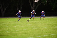 Enlarge photo 314