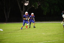 Enlarge photo 323