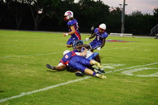 Enlarge photo 333