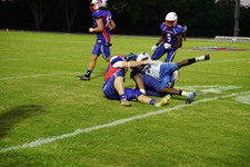 Enlarge photo 334