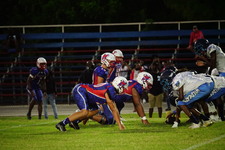 Enlarge photo 355