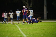Enlarge photo 367