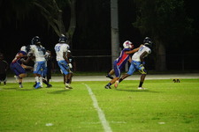 Enlarge photo 374