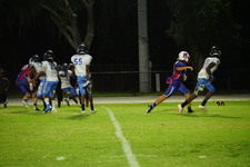 Enlarge photo 373