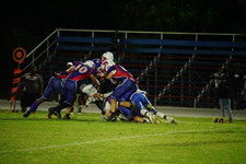 Enlarge photo 394