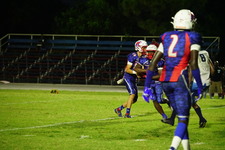 Enlarge photo 426